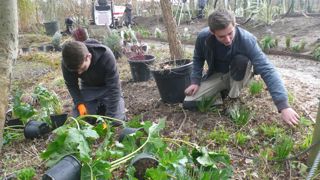 Une vingtaine d’apprentis BP ont mis en œuvre tous leurs savoir-faire pour donner corps au Jardin Agape au cœur du festival de Chaumont-sur-Loire. ©Hubert Laroche