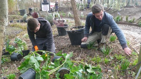 Une vingtaine d’apprentis BP ont mis en œuvre tous leurs savoir-faire pour donner corps au Jardin Agape au cœur du festival de Chaumont-sur-Loire. ©Hubert Laroche