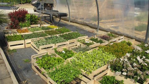 La production et la mise en circulation des végétaux seront plus encadrées à partir du 14 décembre 2019. ©Léna Hespel