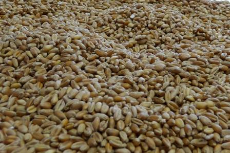 L'Algérie a acheté 200.000 t de blé.