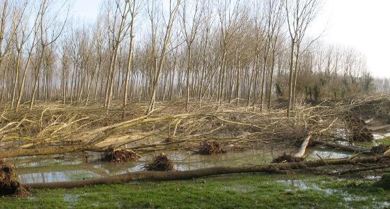 Des rafales de vents de 138 à 218 km/h ont été relevées près de Toulouse
