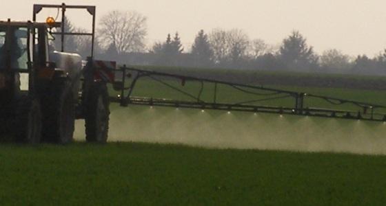 Les premiers traitements antiseptoriose vont être déclenchés sur variétés sensibles et semis précoces de blé.