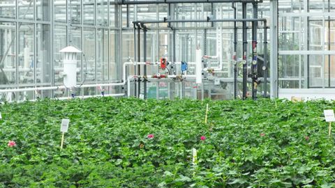 La serre du futur devrait passer à une gestion à l'échelle globale de la production, avec des outils de calcul puissants afin de trouver la meilleure stratégie en permanence, en se connectant à un serveur extérieur.ARIA