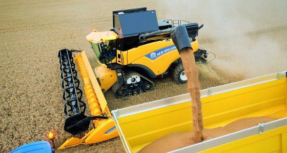 L'Usda a revu à la baisse la production mondiale de blé pour 2012/2013