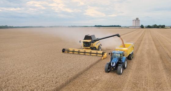 La production russe de céréales pourrait atteindre cette année les 91 millions de tonnes