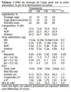 orge bovins