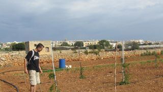 Découverte de diversifications : ici, plantation de grenadiers sur l’île de Gozo à Malte chez un maraîcher. ©Lycée Costa de Beauregard