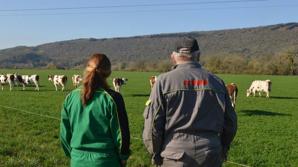 Ce statut peut être utilisé pour permettre une insallation progressive ou pour concilier retraite et activité agricole. © J.-P. Amet