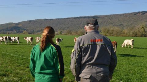 Ce statut peut être utilisé pour permettre une insallation progressive ou pour concilier retraite et activité agricole. © J.-P. Amet Ce statut peut être utilisé pour permettre une insallation progressive ou pour concilier retraite et activité agricole. © J.-P. Amet