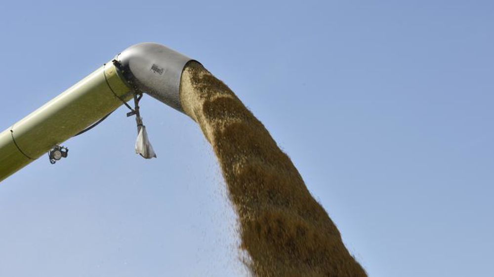 Les orges fourragères voient leur prix grimper de 8 €/t rendu Rouen, à 193,25 €/t en base juillet. © Cédric Faimali/GFA