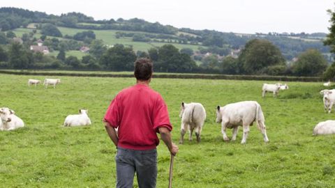 Plus de 74 % des bénéficiaires de l’aide au répit ont entre 41 et 60 ans. © Claudius Thiriet Plus de 74 % des bénéficiaires de l’aide au répit ont entre 41 et 60 ans. © Claudius Thiriet
