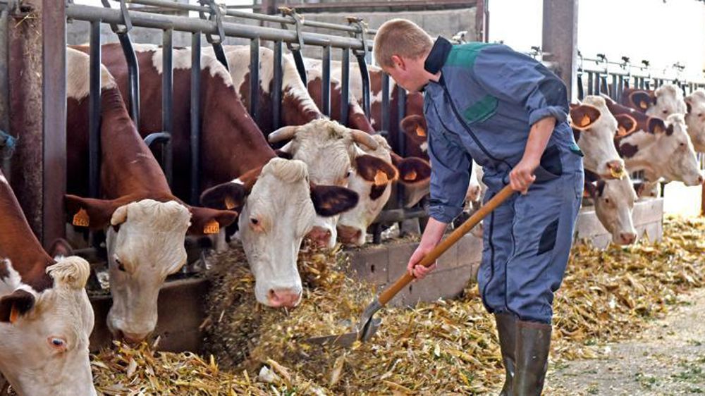 Le diplôme agricole permet d’être éligible aux aides à l’installation. © Jean-Pierre Amet