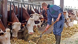 Le diplôme agricole permet d’être éligible aux aides à l’installation. © Jean-Pierre Amet Le diplôme agricole permet d’être éligible aux aides à l’installation. © Jean-Pierre Amet