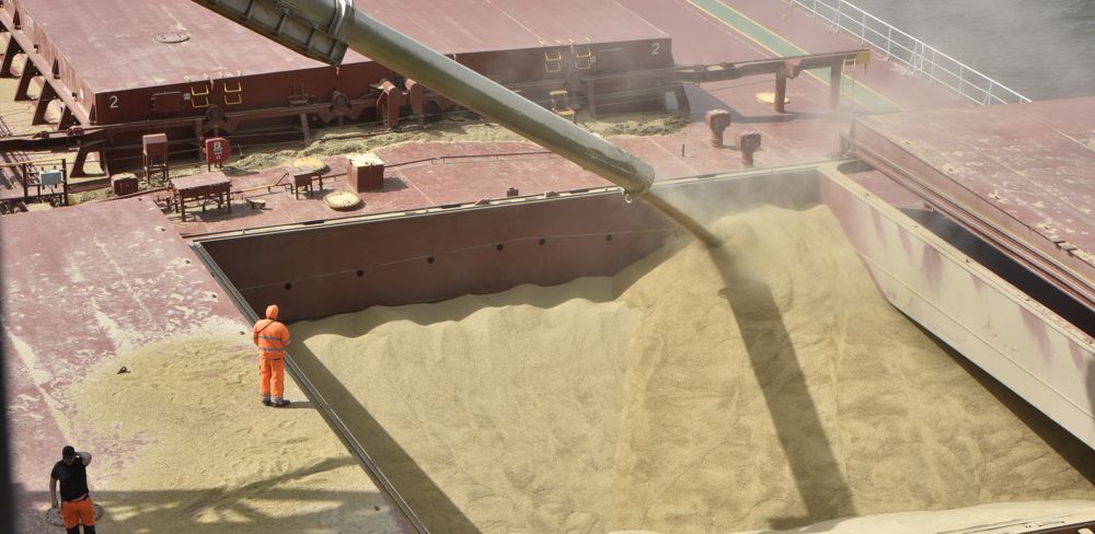 Le corridor maritime, initialement destiné à sortir plus de 20 millions de tonnes de grains, a permis à Kiev d'exporter par bateaux plus de 7,8 millions de tonnes depuis le 1er août.