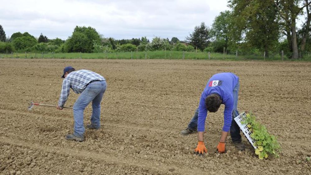 © Cédric Faimali/GFA