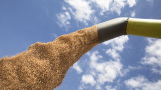 La sécheresse a affecté les trois cultures majeures aux États-Unis, à savoir le blé, le maïs et le soja, pour lesquels le ministère de l'Agriculture (USDA) a dû récemment revoir en baisse sensible ses prévisions de rendement, en moyenne nationale. La sécheresse a affecté les trois cultures majeures aux États-Unis, à savoir le blé, le maïs et le soja, pour lesquels le ministère de l'Agriculture (USDA) a dû récemment revoir en baisse sensible ses prévisions de rendement, en moyenne nationale.