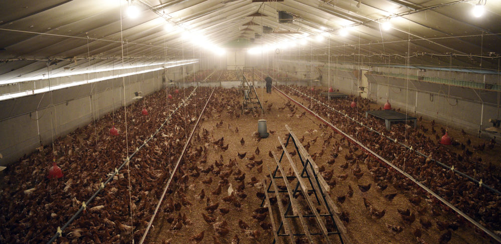 La FNSEA est déçue en ce qui concerne les aides pour les gros consommateurs de gaz. Les critères d'accès à l'aide ne sont pas adaptés.