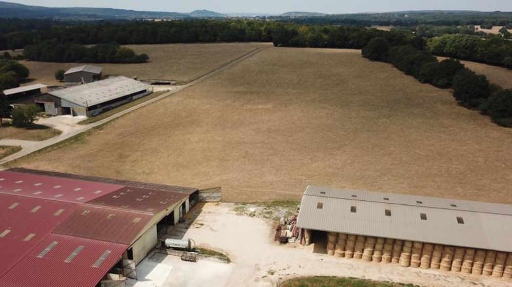 Les indemnisations du Fonds national de gestion des risques faisant suite à la sécheresse de 2018 ont commencé à la fin de janvier 2019 pour les premiers départements passés en commission. © C. Faimali/GFA