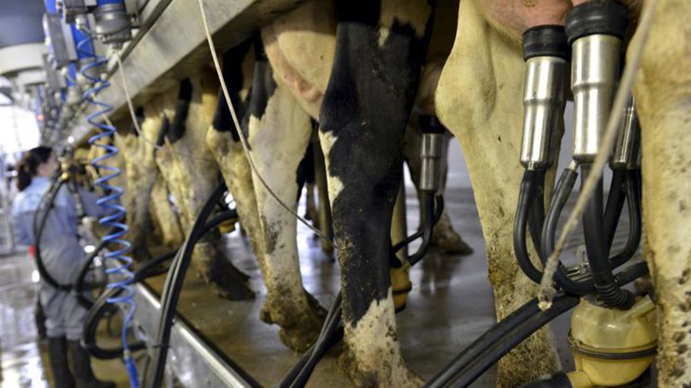 © Cédric Faimali/GFA