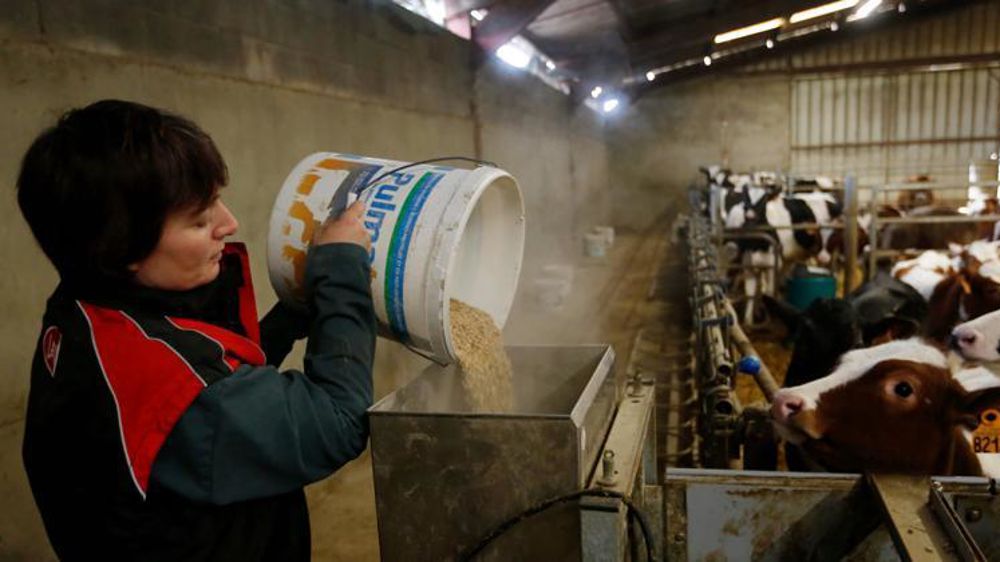 Photo d’illustration. © Gutner