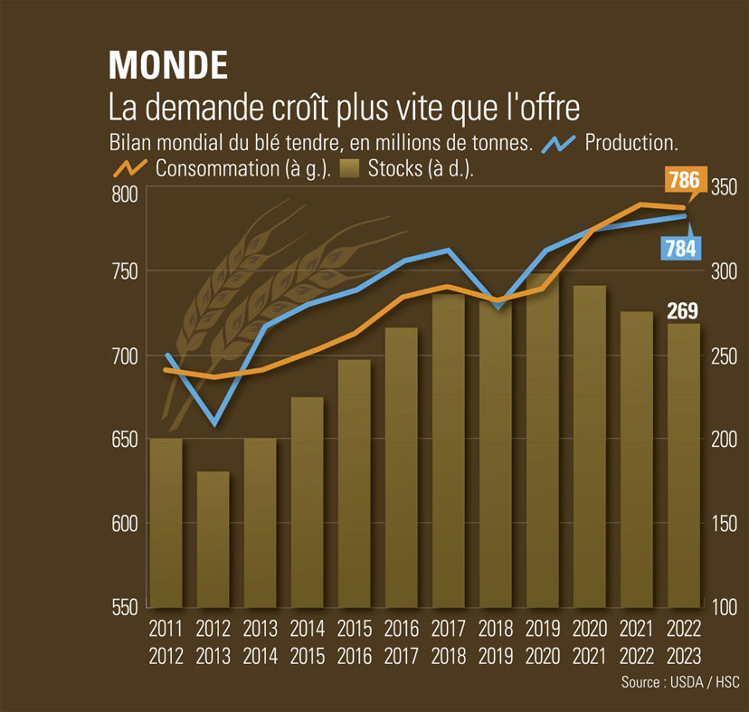 Conjoncture Le marché du blé tendre est de plus en plus nerveux