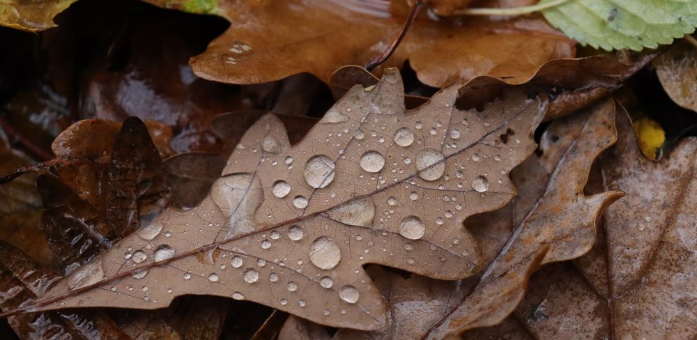 Plusieurs perturbations sont attendues cette semaine en France. (Photo d'illustration)