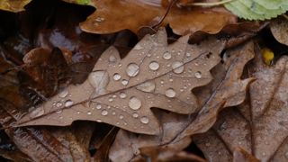 Plusieurs perturbations sont attendues cette semaine en France. (Photo d'illustration) Plusieurs perturbations sont attendues cette semaine en France. (Photo d'illustration)
