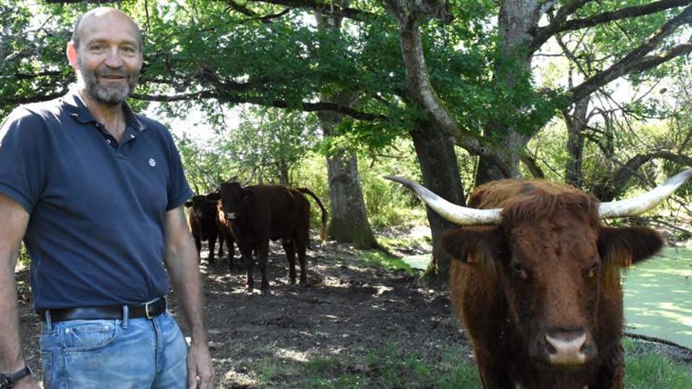Grégoire Deniau : « J’aime les salers car ce sont les seules mères qui ont besoin de leur veau pour débuter la traite. » © Aude Richard