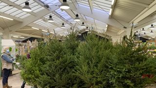 Alors que l’hiver approche, la Fédération des jardineries et animaleries de France propose une liste d’actions à mettre en place pour réaliser des économies d’énergie dans les magasins.
