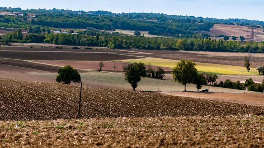 Les comités techniques des Safer pourraient instruire les demandes du nouveau contrôle du marché foncier proposé par le député Jean-Bernard Sempastous. © Agnès Massiot