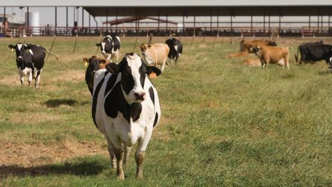 © USDA © USDA