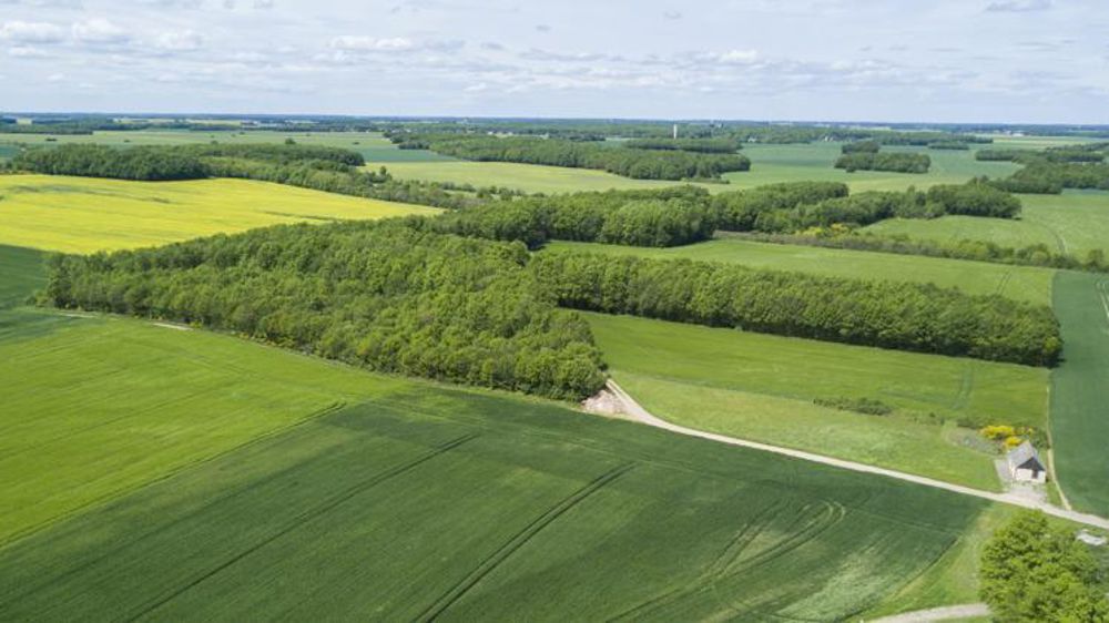 © Cédric Faimali/GFA