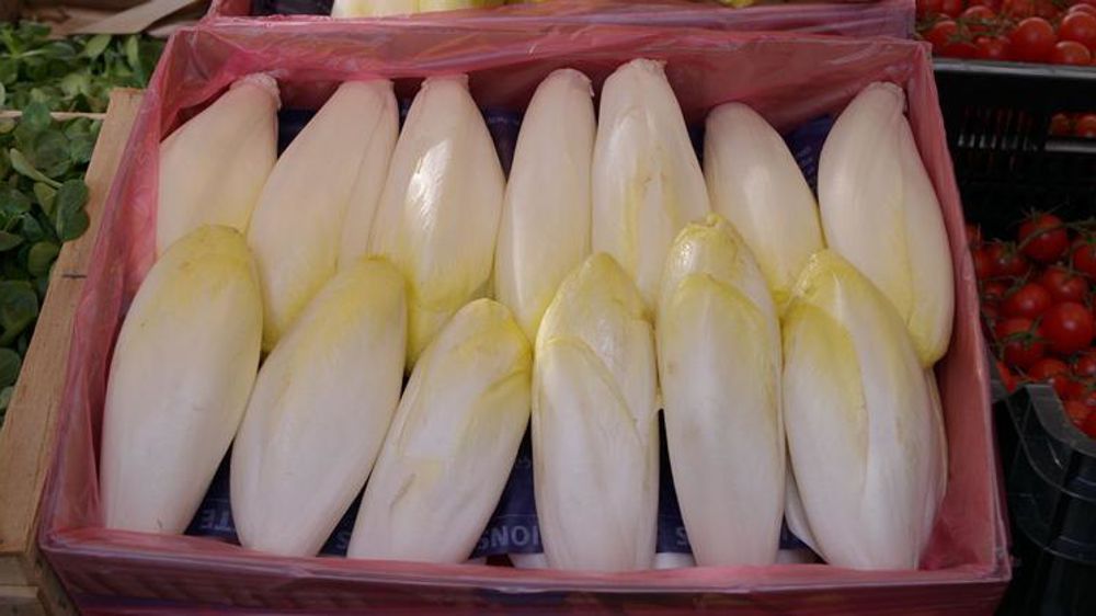 © Wikimedia Commons