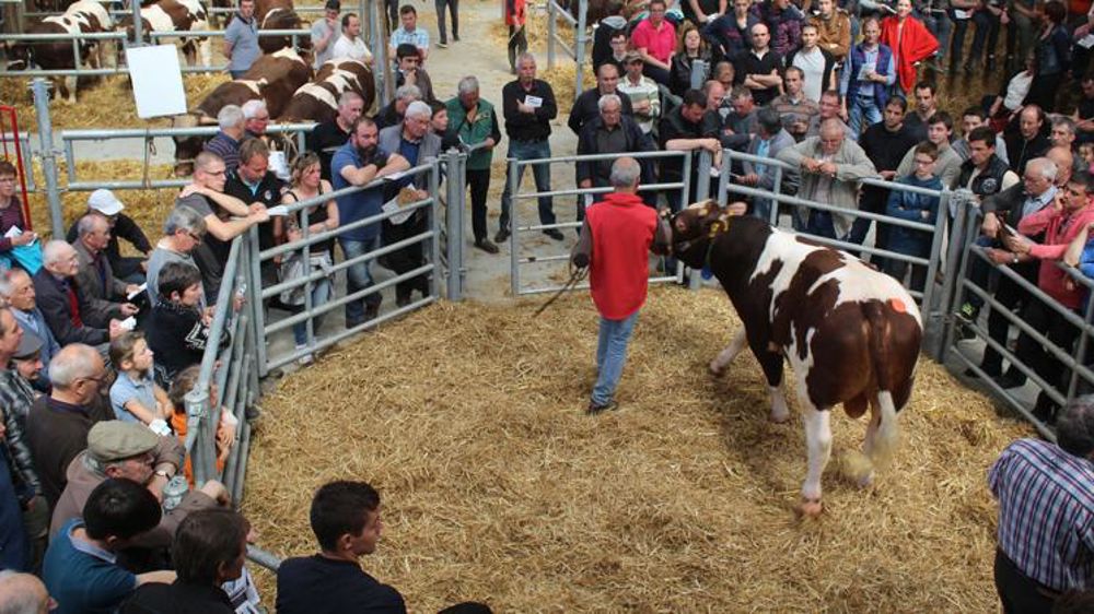 © Domaine Rouge des prés