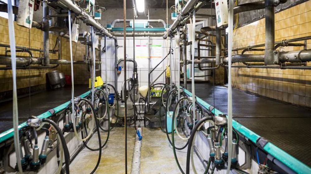 Avec le départ des trois OP ligériennes, l’association d’OP Sunlait se retrouve amputée d’un tiers de ses adhérents et volumes. © Jérôme Chabanne