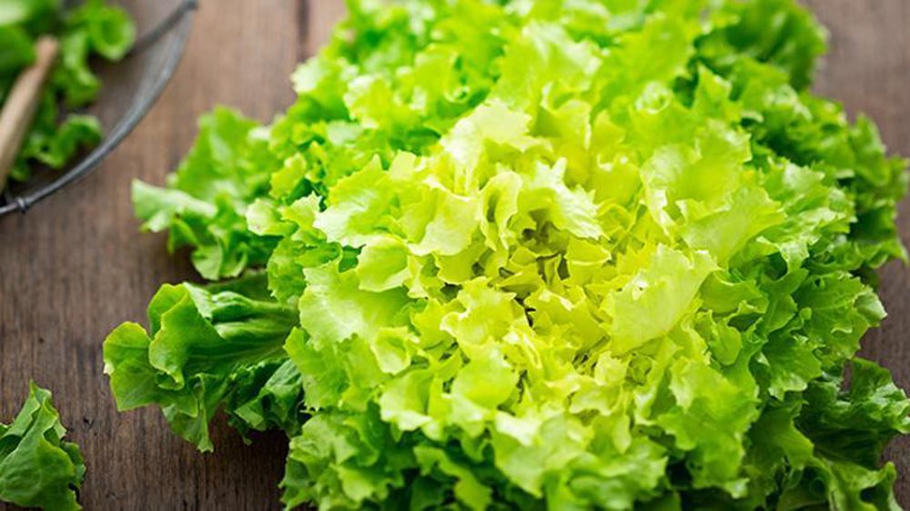 © Interfel/Merdrignac