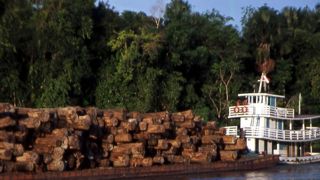 Sur le fleuve amazone, un bateau transporte le bois, symbole de la déforestation au Brésil. © Carole Martin Sur le fleuve amazone, un bateau transporte le bois, symbole de la déforestation au Brésil. © Carole Martin