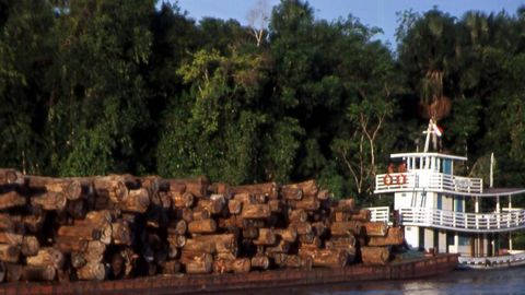 Sur le fleuve amazone, un bateau transporte le bois, symbole de la déforestation au Brésil. © Carole Martin Sur le fleuve amazone, un bateau transporte le bois, symbole de la déforestation au Brésil. © Carole Martin