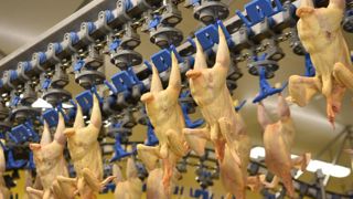 L’autorité de la concurrence autorise « sous conditions » la vente de Ronsard par le groupe coopératif Eureden à LDC, le leader français de la volaille. © C. Faimali/GFA L’autorité de la concurrence autorise « sous conditions » la vente de Ronsard par le groupe coopératif Eureden à LDC, le leader français de la volaille. © C. Faimali/GFA