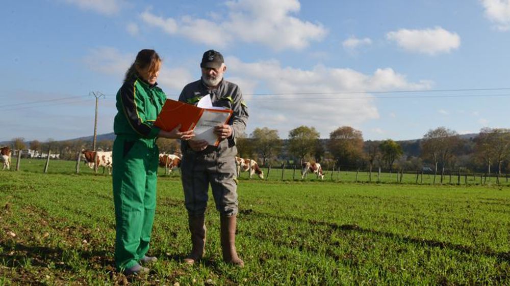 Les personnes installées après 2016 ou après 2019 peuvent demander une attribution de DPB ou une revalorisation de leur DPB avant le 17 mai. © Jean-Pierre Amet