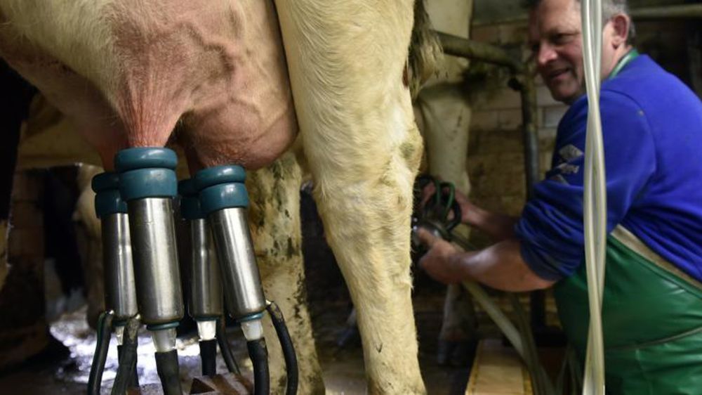 © Cédric Faimali/GFA