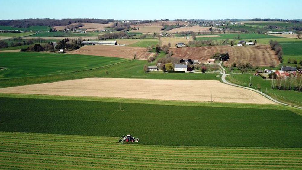 La proposition de loi du député de Sempastous s’attaque à l’accaparement des terres agricoles via les formes sociétaires. © C. Faimali/GFA