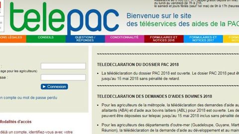 © Telepac