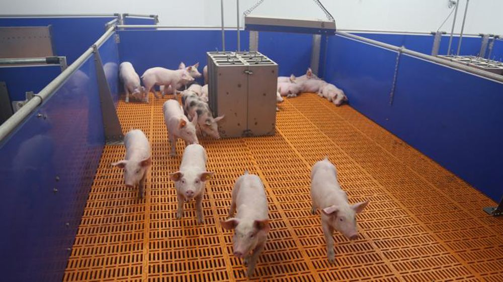 © M.-F. Malterre/GFA