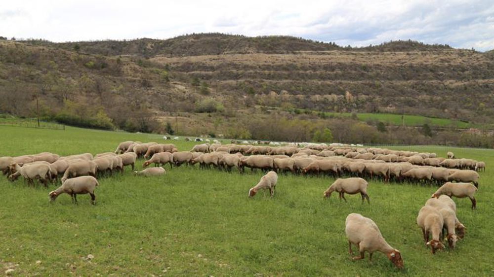 © M.-F. Malterre/GFA