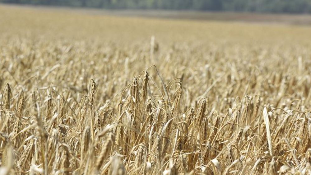 Le ministre australien du Commerce a précisé que son pays demande à l’OMC de mettre en place un comité de règlement des conflits pour examiner les taxes imposées par Pékin. © C. Faimali/GFA