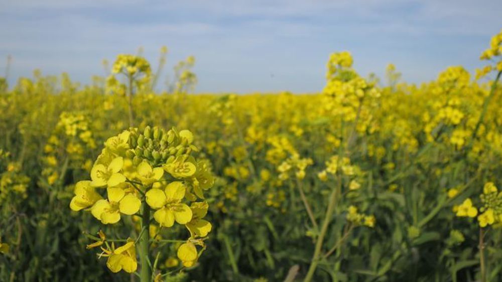 © C. Fricotté/GFA