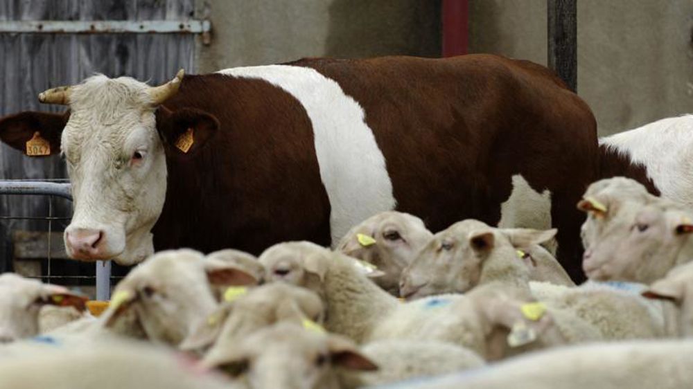 © Jérôme Chabanne