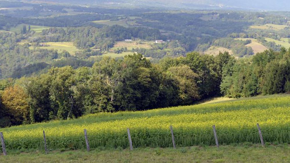 © Cédric Faimali/GFA