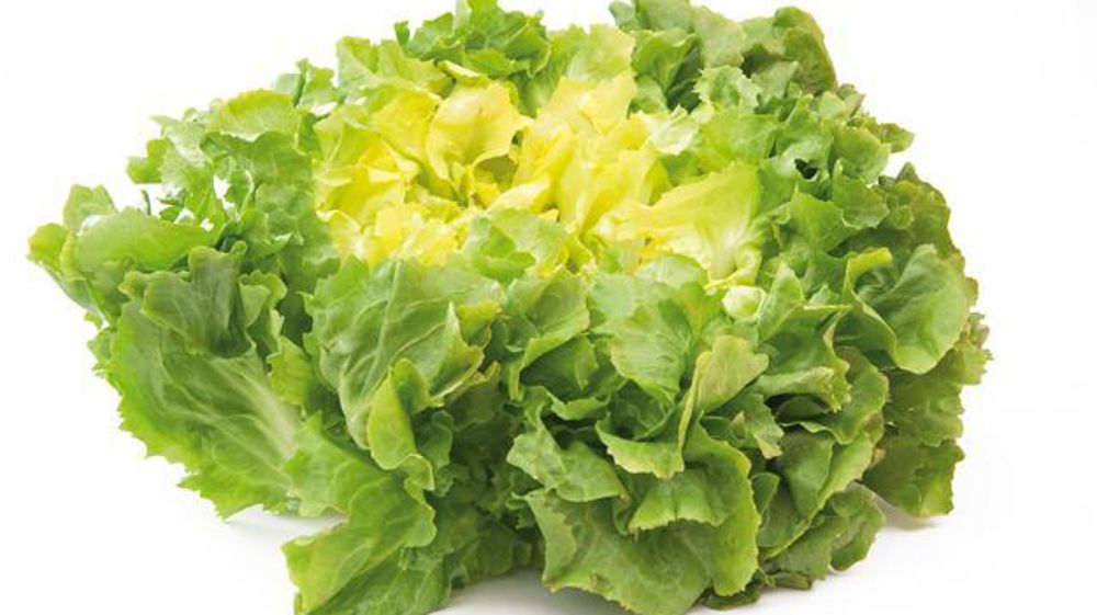 © Philippe Dufour/Interfel